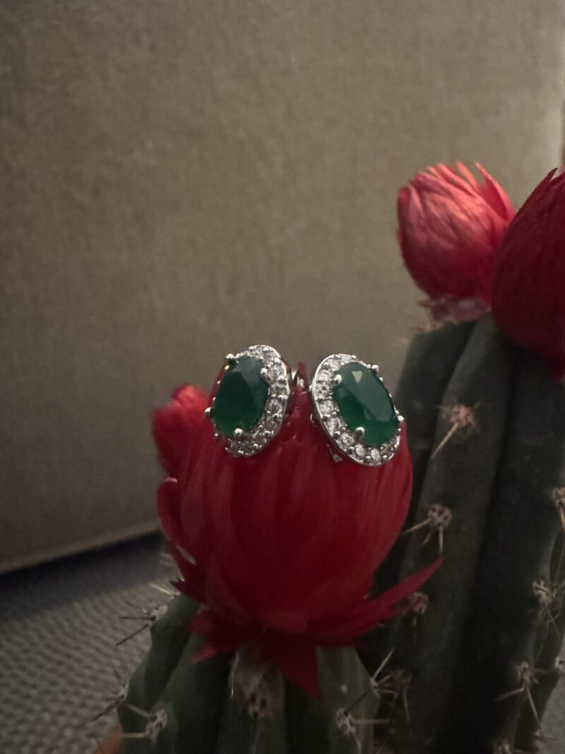Women's earrings