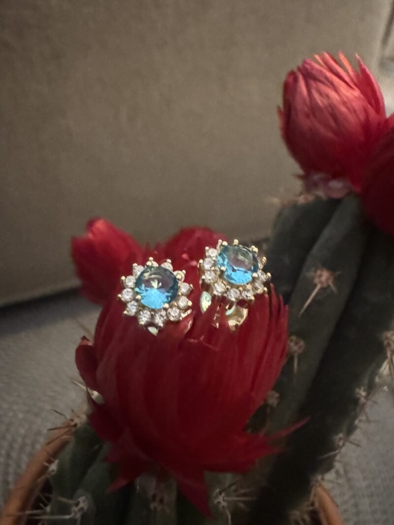 Women's earrings