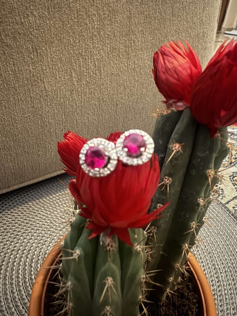 Women's earrings