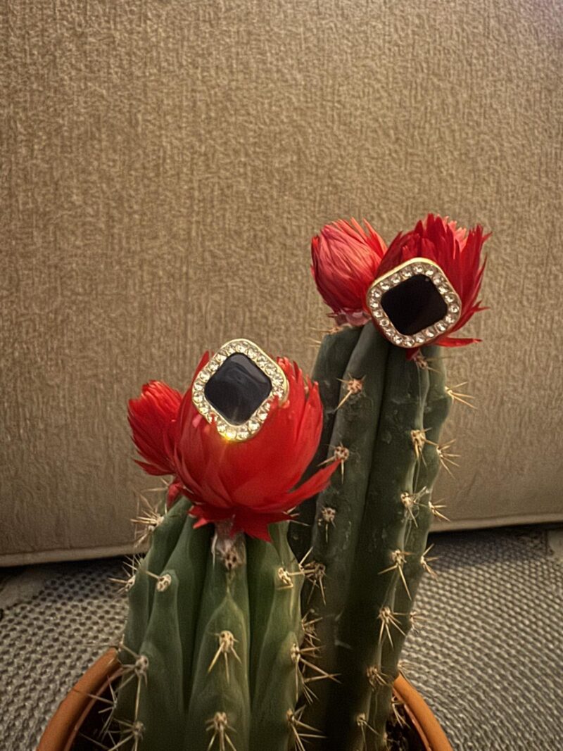 Women's earrings
