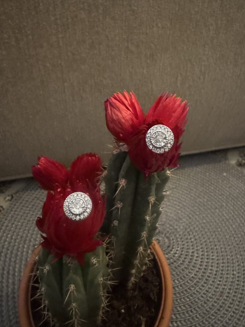 Women's earrings